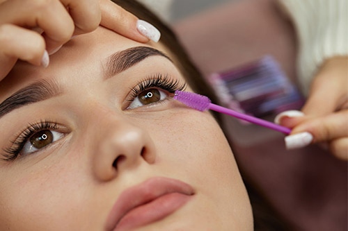 Eyelash & Eyebrow